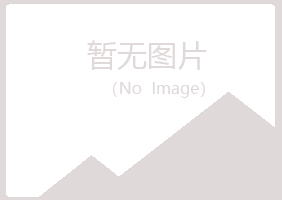 龙岩山柏服务有限公司